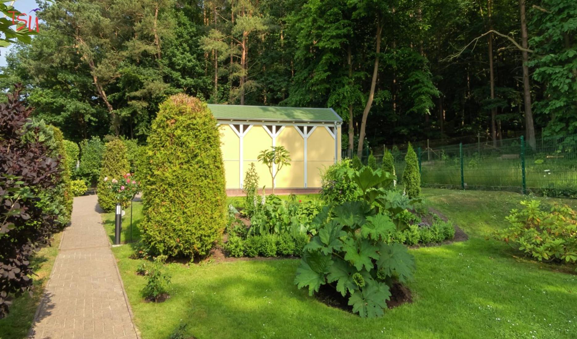 Haus Am Wald Apartment Heringsdorf  Exterior photo